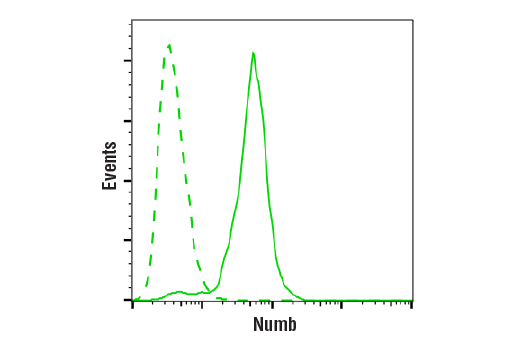 Flow Cytometry Image 1: Numb (C29G11) Rabbit mAb