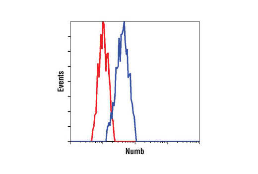 Flow Cytometry Image 1: Numb (C44B4) Rabbit mAb