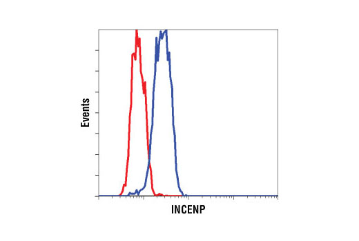 Flow Cytometry Image 1: INCENP (A841) Antibody