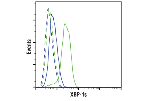 Flow Cytometry Image 1: XBP-1s (E8C2Z) Mouse mAb
