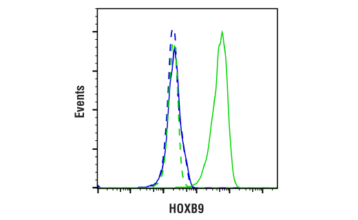 Flow Cytometry Image 1: HOXB9 (E7P5O) Rabbit mAb