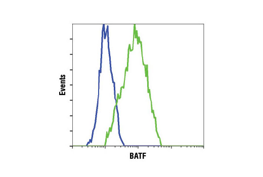 Flow Cytometry Image 1: BATF (D7C5) Rabbit mAb (BSA and Azide Free)