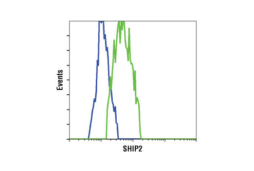 Flow Cytometry Image 1: SHIP2 (C76A7) Rabbit mAb