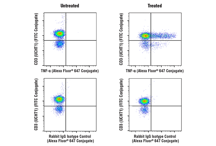 Flow Cytometry Image 4: Human T Cell Th1 Cytokine Response Flow Cytometry Panel