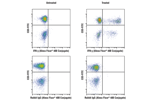 Flow Cytometry Image 5: Human T Cell Th1 Cytokine Response Flow Cytometry Panel