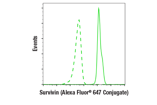 Flow Cytometry Image 1: Survivin (71G4B7) Rabbit mAb (Alexa Fluor® 647 Conjugate)