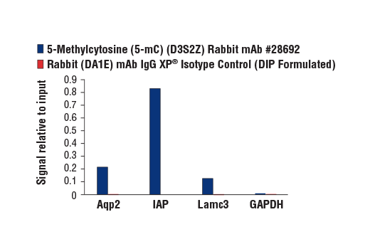  Image 2: 5-Methylcytosine (5-mC) (D3S2Z) Rabbit mAb