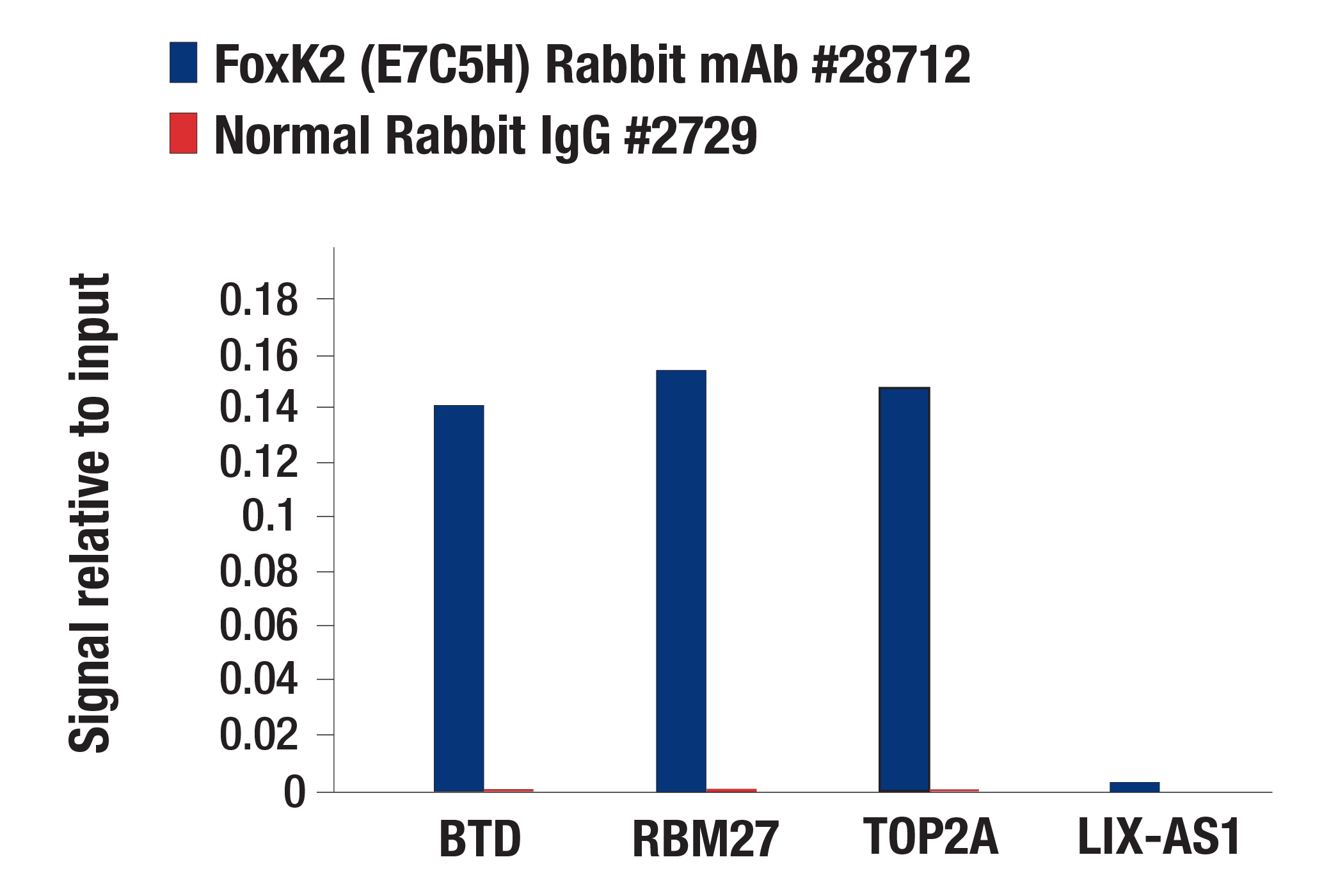 Chromatin Immunoprecipitation Image 1: FoxK2 (E7C5H) Rabbit mAb