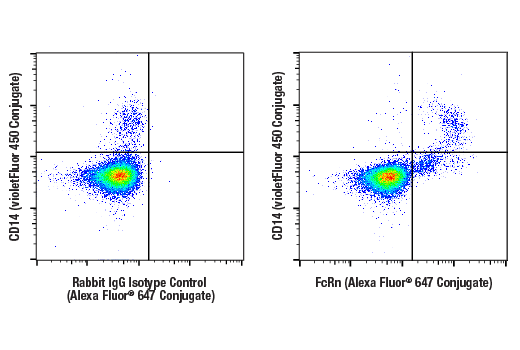 Flow Cytometry Image 1: FcRn (E6D1S) Rabbit mAb (Alexa Fluor® 647 Conjugate)