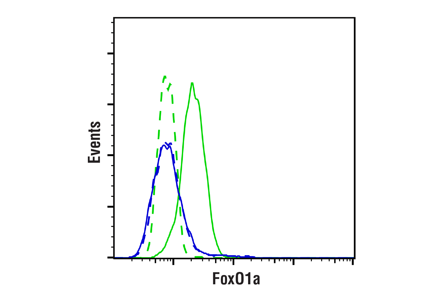 Flow Cytometry Image 1: FoxO1 (C29H4) Rabbit mAb (BSA and Azide Free)