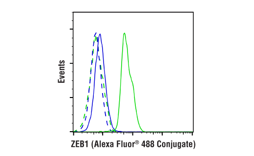 Flow Cytometry Image 1: ZEB1 (E2G6Y) XP® Rabbit mAb (Alexa Fluor® 488 Conjugate)
