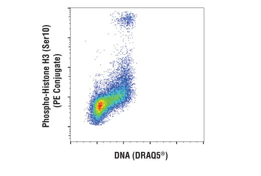 Flow Cytometry Image 1: Phospho-Histone H3 (Ser10) (D7N8E) XP® Rabbit mAb (PE Conjugate)