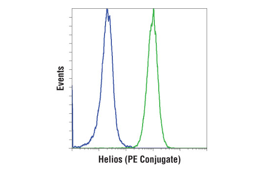 Flow Cytometry Image 1: Helios (D8W4X) XP® Rabbit mAb (PE Conjugate)