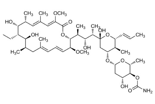  Image 1: Concanamycin A
