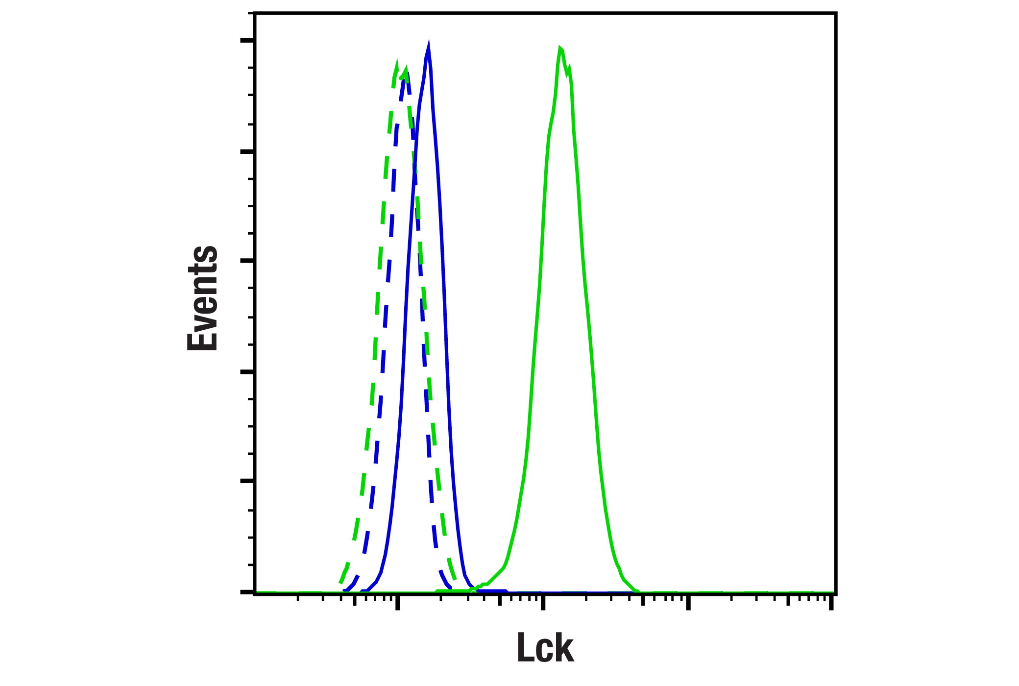  Image 4: Src Family Antibody Sampler Kit