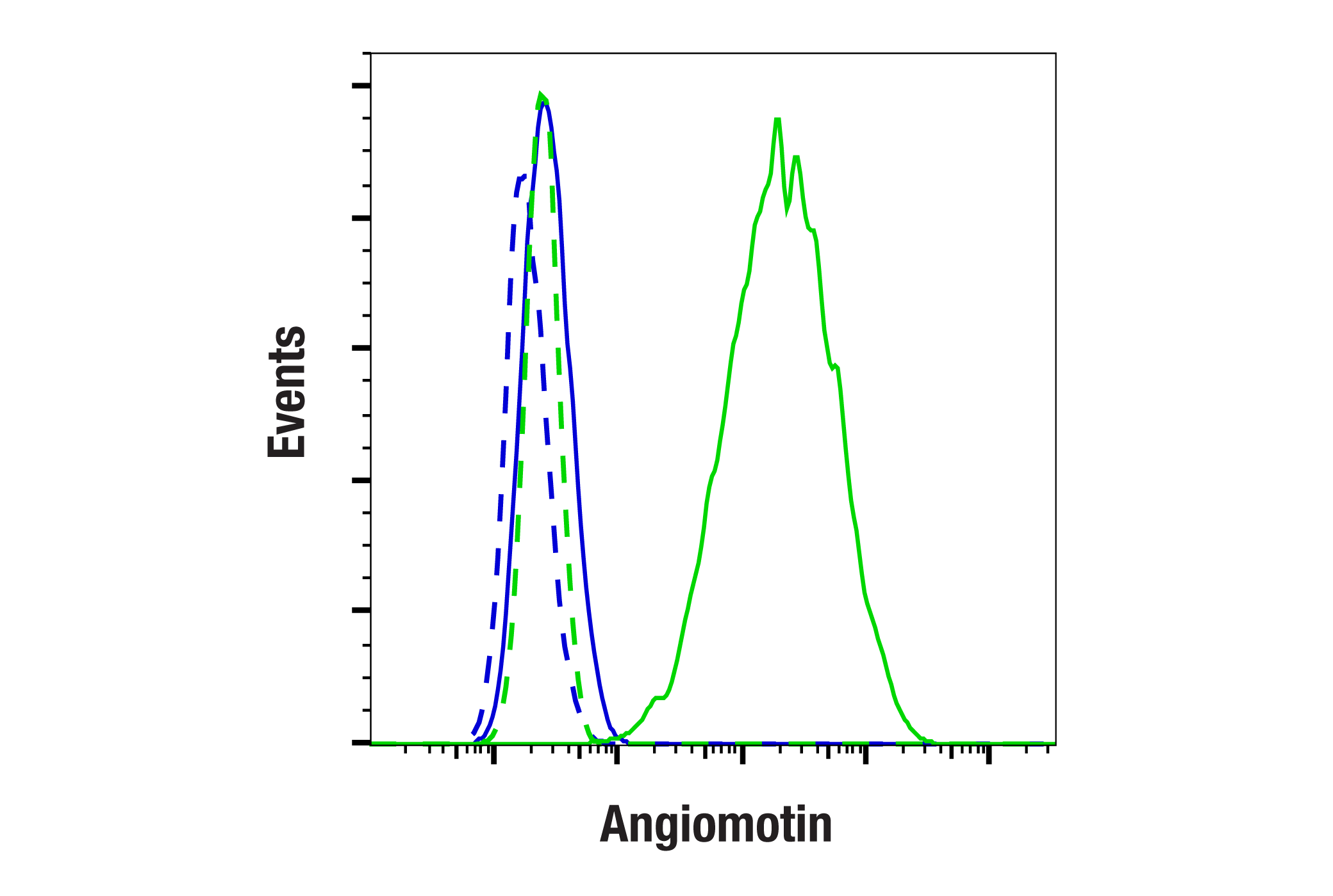 Flow Cytometry Image 2: Angiomotin (F7W8U) Rabbit mAb