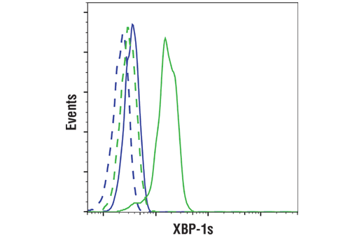 Flow Cytometry Image 1: XBP-1s (E7M5C) Mouse mAb (BSA and Azide Free)