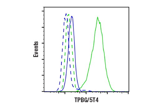 Flow Cytometry Image 1: TPBG/5T4 (E4T8Q) Rabbit mAb