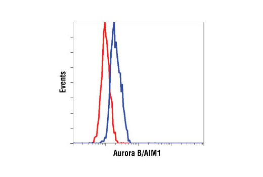 Flow Cytometry Image 1: Aurora B/AIM1 Antibody