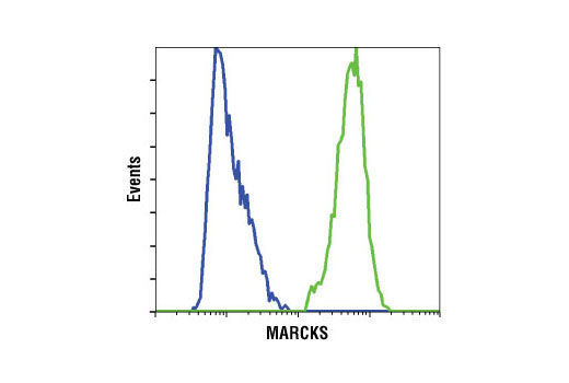 Flow Cytometry Image 1: MARCKS (D88D11) XP® Rabbit mAb (BSA and Azide Free)
