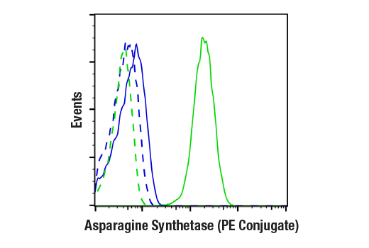 Flow Cytometry Image 1: Asparagine Synthetase (E6C2C) XP® Rabbit mAb (PE Conjugate)
