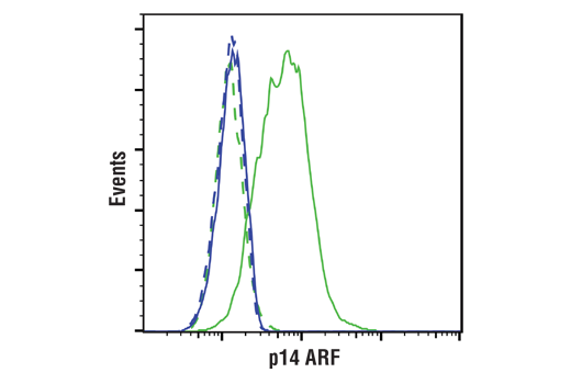 Flow Cytometry Image 1: p14 ARF (E3X6D) Rabbit mAb (BSA and Azide Free)