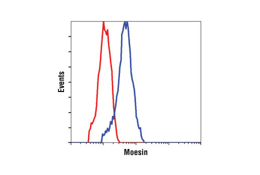 Flow Cytometry Image 1: Moesin (Q480) Antibody