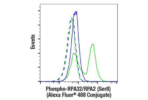 Flow Cytometry Image 1: Phospho-RPA32/RPA2 (Ser8) (E5A2F) Rabbit mAb (Alexa Fluor® 488 Conjugate)