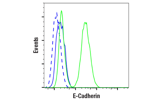 Flow Cytometry Image 1: E-Cadherin (24E10) Rabbit mAb