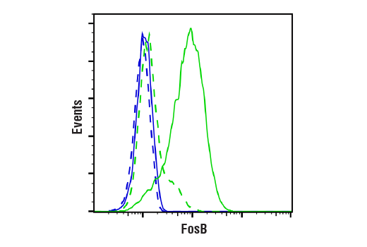Flow Cytometry Image 1: FosB (5G4) Rabbit mAb (BSA and Azide Free)