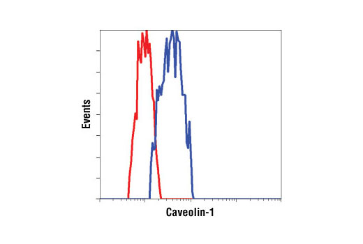 Flow Cytometry Image 1: Caveolin-1 Antibody