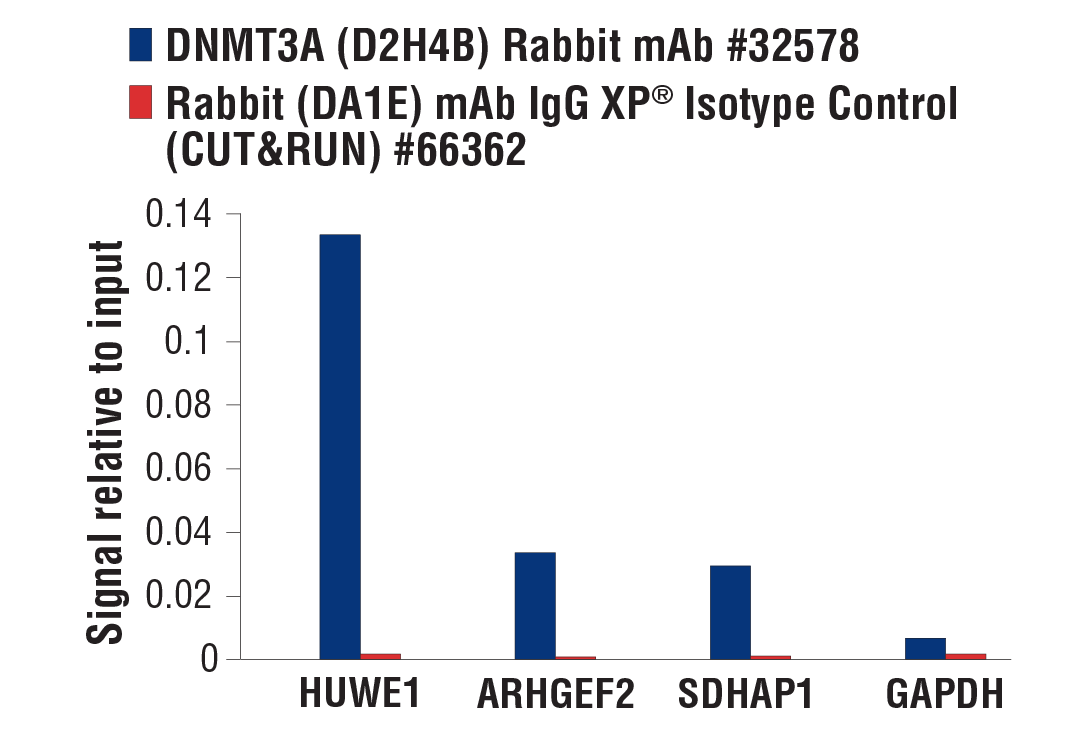 CUT and RUN Image 3: DNMT3A (D2H4B) Rabbit mAb