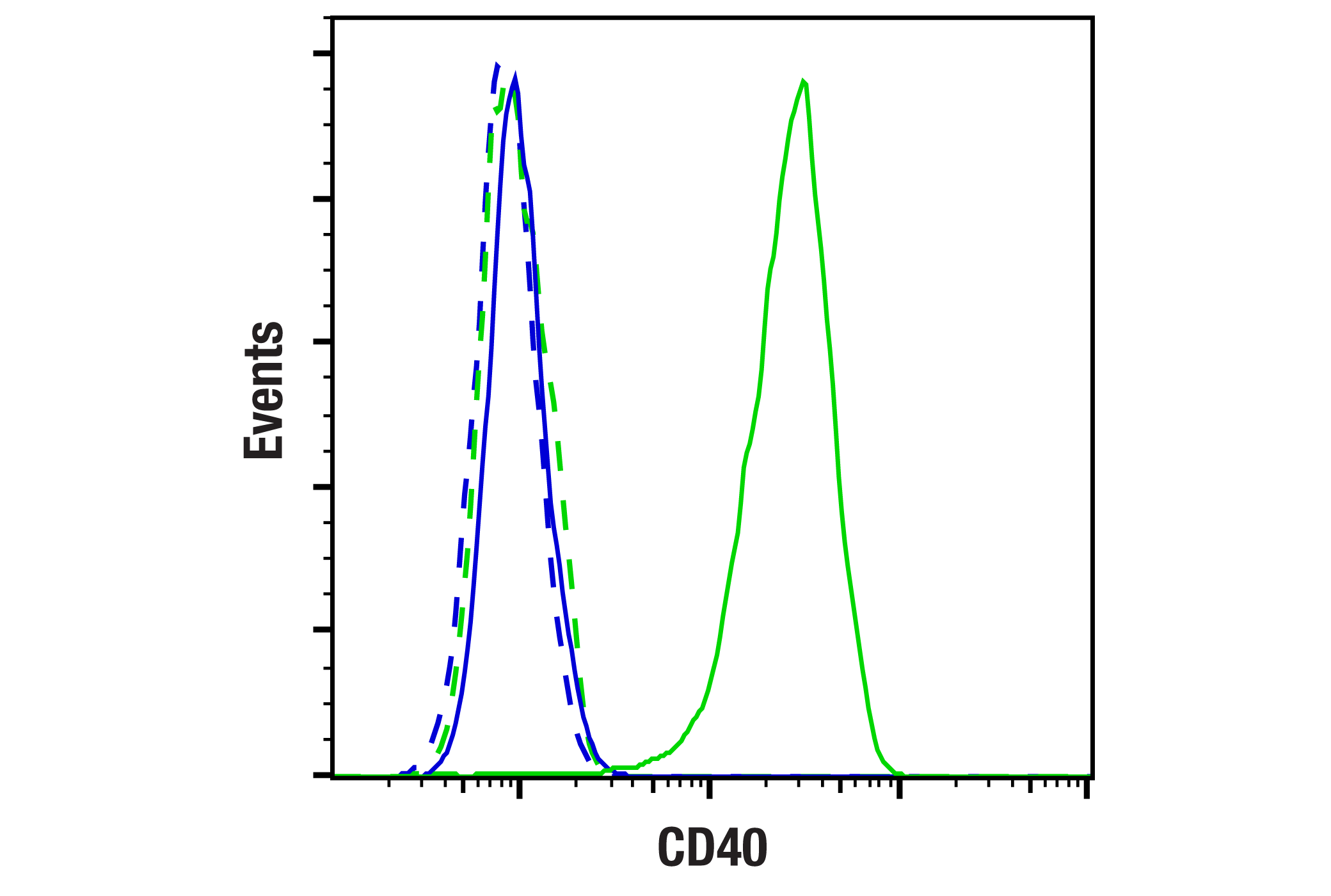  Image 1: CD40 (Selicrelumab Biosimilar) Human mAb