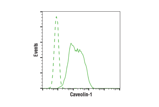 Flow Cytometry Image 1: Caveolin-1 (D46G3) XP® Rabbit mAb
