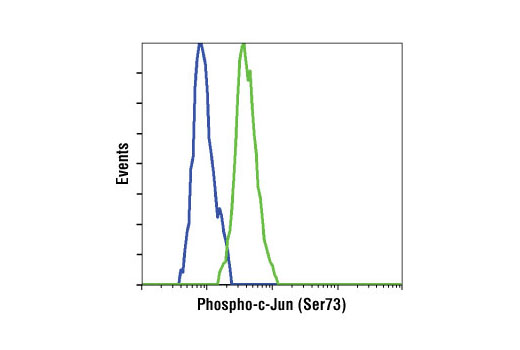 Flow Cytometry Image 1: Phospho-c-Jun (Ser73) (D47G9) XP® Rabbit mAb