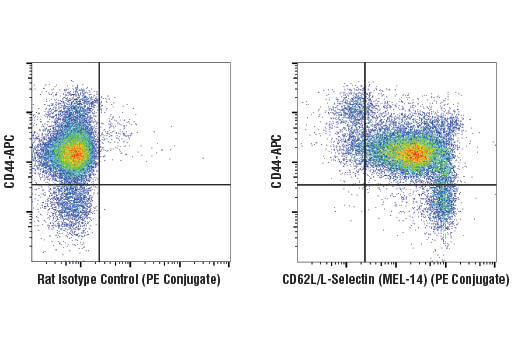 Flow Cytometry Image 2: CD62L/L-Selectin (MEL-14) Rat mAb (PE Conjugate)