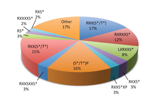  Image 1: PTMScan® Basophilic Kinase Substrate Motif [(R/X)(R/X)Xp(S/T)] Kit
