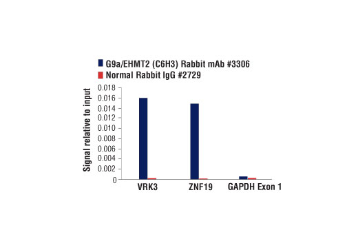 Chromatin Immunoprecipitation Image 1: G9a/EHMT2 (C6H3) Rabbit mAb
