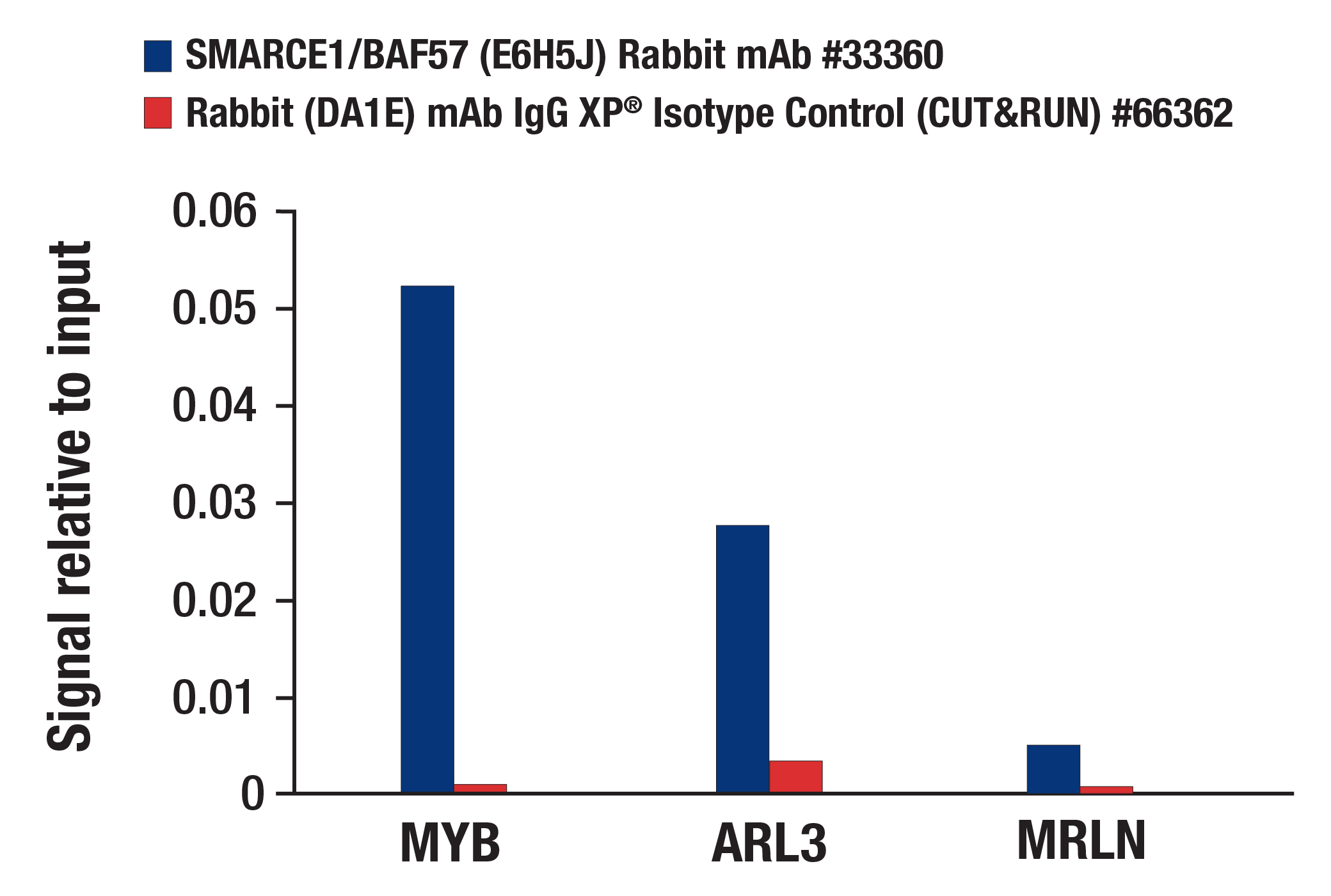 CUT and RUN Image 3: SMARCE1/BAF57 (E6H5J) Rabbit mAb