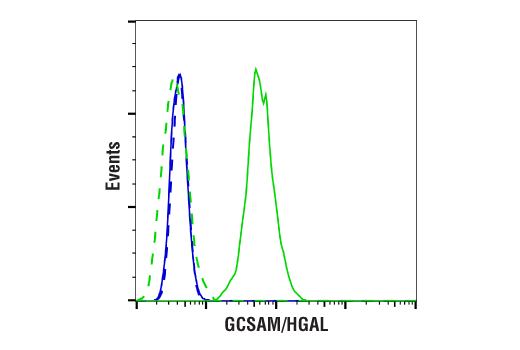 Flow Cytometry Image 1: GCSAM/HGAL (E7V1W) Rabbit mAb