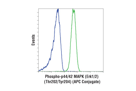 Flow Cytometry Image 1: Phospho-p44/42 MAPK (Erk1/2) (Thr202/Tyr204) (197G2) Rabbit mAb (APC Conjugate)