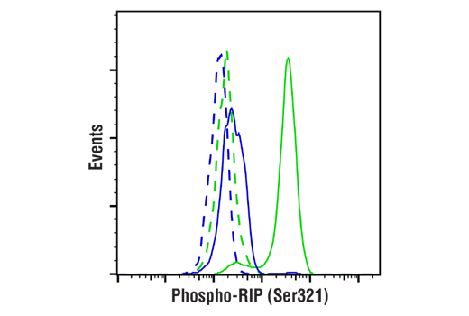 Flow Cytometry Image 1: Phospho-RIP (Ser321) (E9K2A) Rabbit mAb (BSA and Azide Free)
