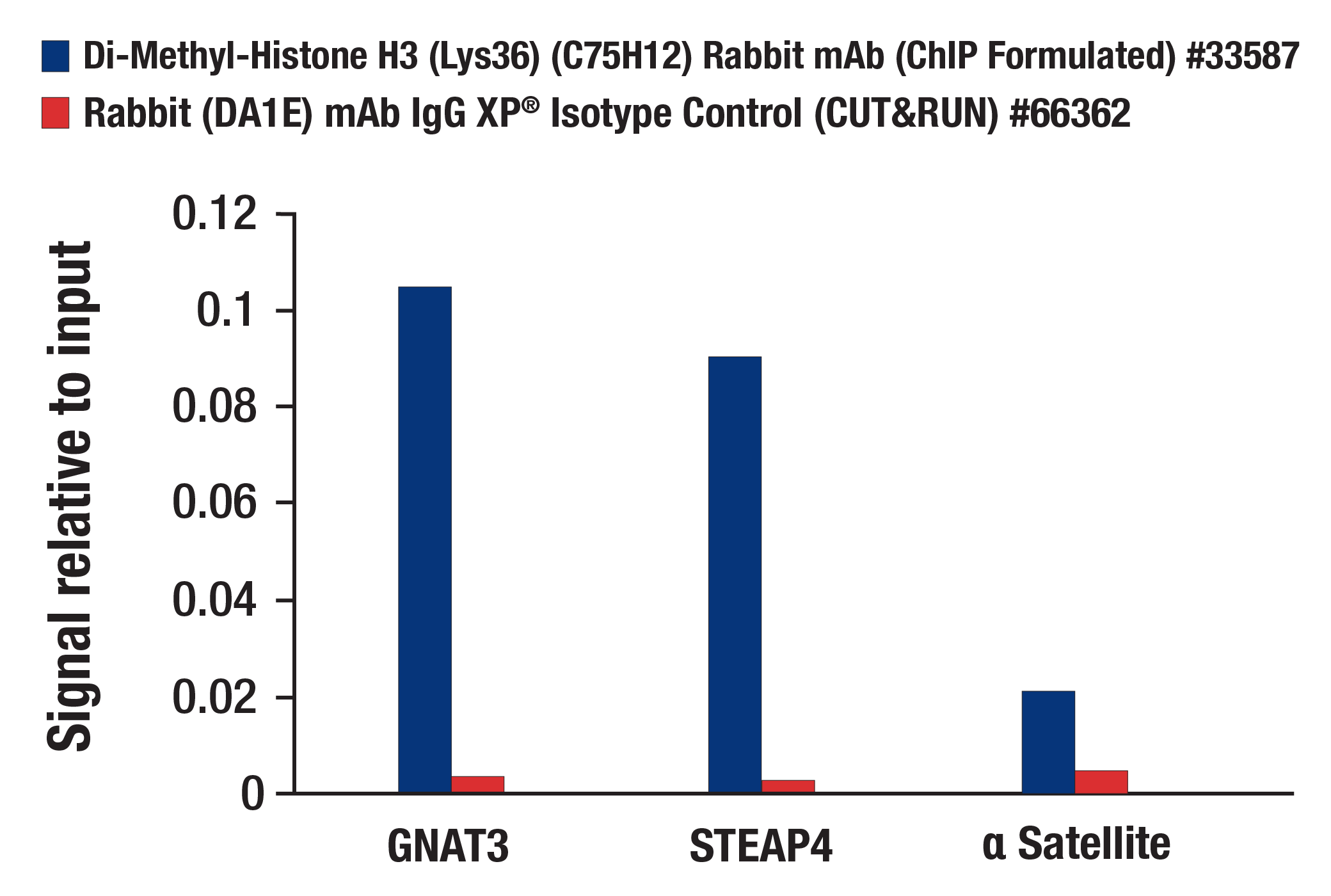 CUT and RUN Image 3: Di-Methyl-Histone H3 (Lys36) (C75H12) Rabbit mAb (ChIP Formulated)