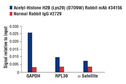 Chromatin Immunoprecipitation Image 1: Acetyl-Histone H2B (Lys20) (D7O9W) Rabbit mAb