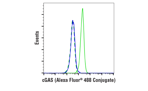 Flow Cytometry Image 1: cGAS (E5V3W) Rabbit mAb (Alexa Fluor® 488 Conjugate)