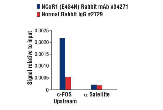 Chromatin Immunoprecipitation Image 1: NCoR1 (E4S4N) Rabbit mAb