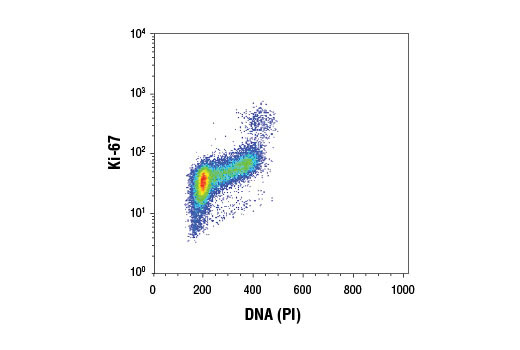 Flow Cytometry Image 1: Ki-67 (D3B5) Rabbit mAb (BSA and Azide Free)