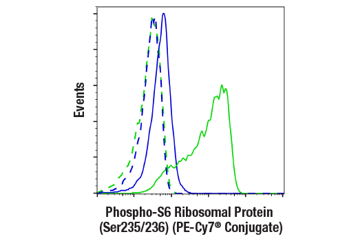 Flow Cytometry Image 1: Phospho-S6 Ribosomal Protein (Ser235/236) (D57.2.2E) XP® Rabbit mAb (PE-Cy7® Conjugate)