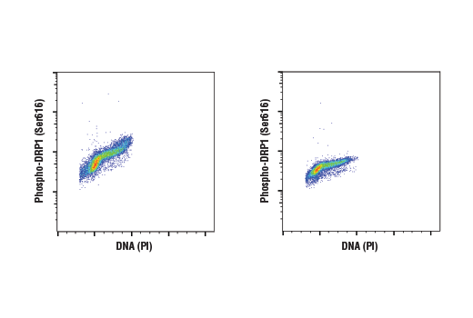 Flow Cytometry Image 1: Phospho-DRP1 (Ser616) Antibody