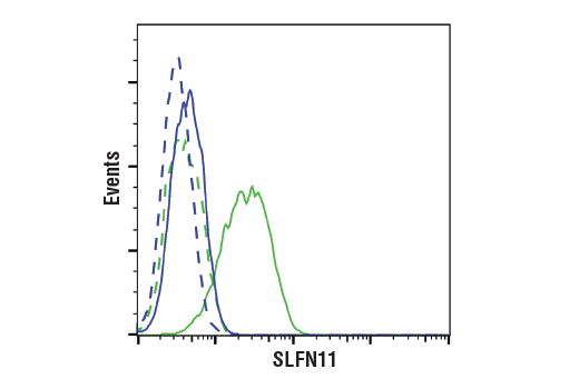 Flow Cytometry Image 1: SLFN11 (D8W1B) Rabbit mAb